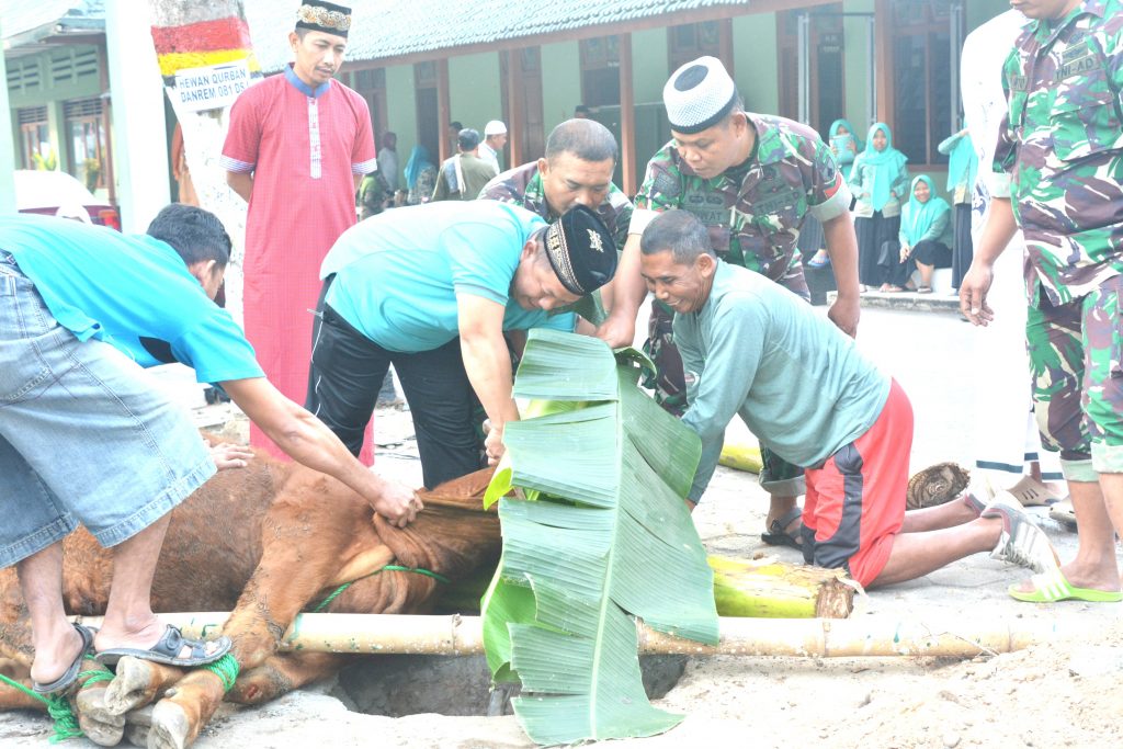 Sholat Idul Adha Dan Penyembelihan Hewan Qurban