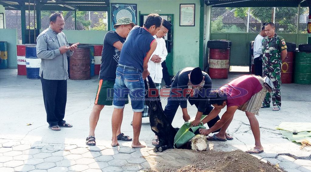 KODIM 0805 Ngawi Berbagi Hewan Kurban