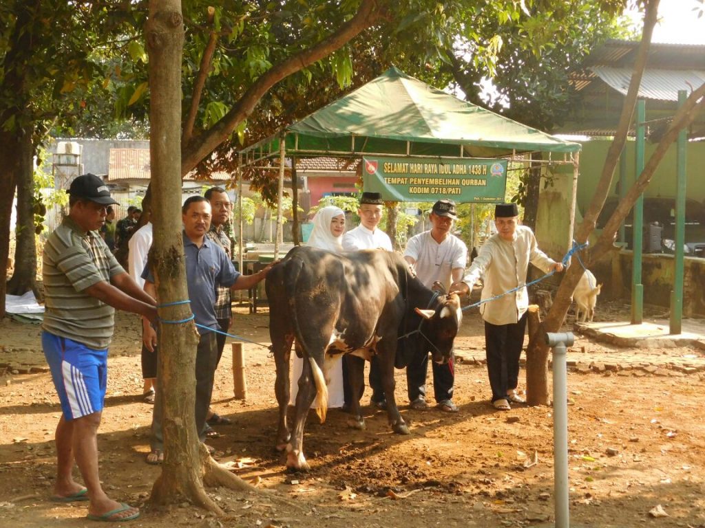 Rayakan Idul Adha 1438 H Dandim 0718/Pati Sembelih Hewan Qurban