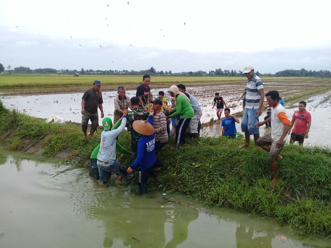 Warga Gabus Pati, Meninggal Disawah Gara – Gara Tersambar Petir