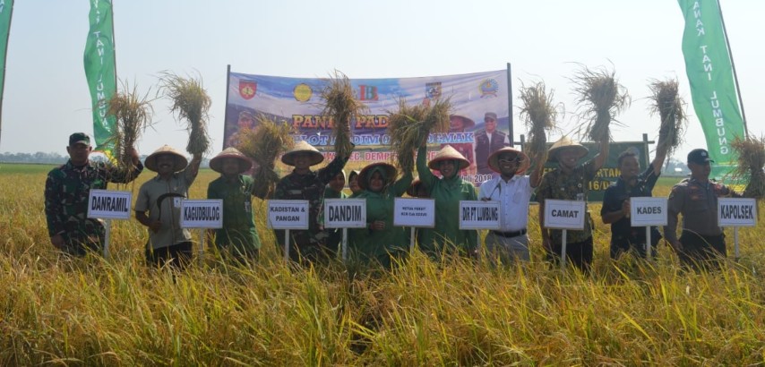 Panen Padi L-58 Aromatik Kodim Demak & Lumbung Banyu Bumi Desa Kuwu Dempet