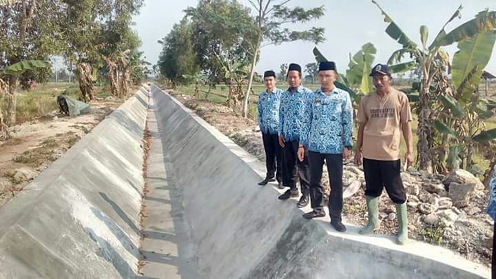 Irigasi Tak Berfungsi Petani Di  Lampung Selatan Gagal Tanam