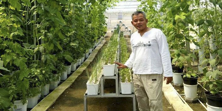 Festival Kelor Blora Siap Menghebohkan Dunia