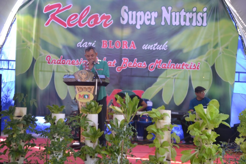 Kabupaten Blora Akan Menjadi Penyuplai Kelor Terbaik Se-dunia