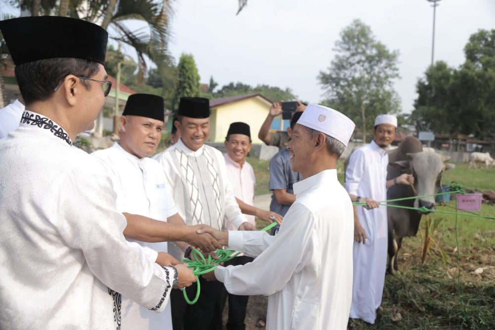Secara Simbolis Plt Bupati Lampung Selatan Serahkan Bantuan Hewan Qurban