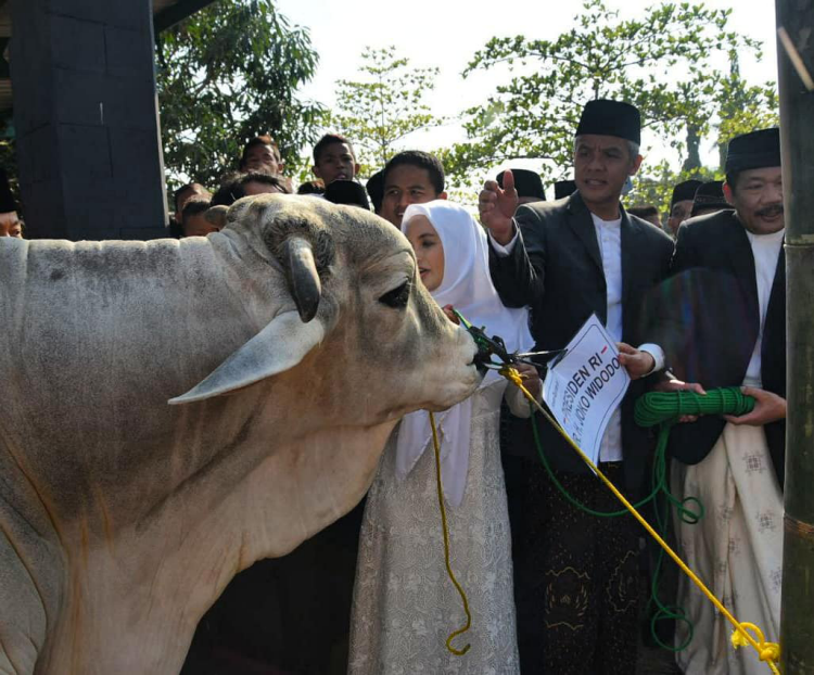 Gubernur Jawa Tengah H Ganjar Pranowo SH MIP Salurkan hewan kurban Dari Presiden RI Joko Widodo