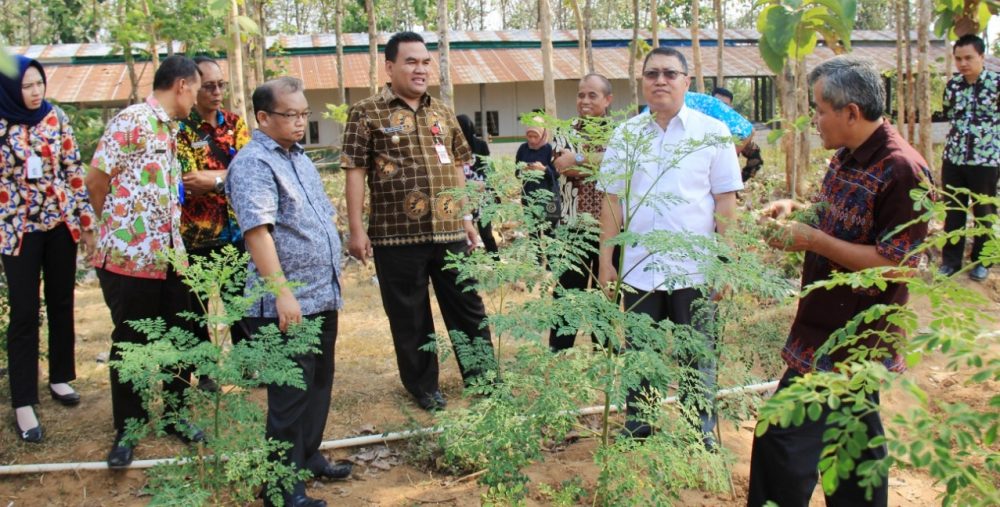 Direktur Jenderal PFM Kemensos Kunjungin Kampung Kelor