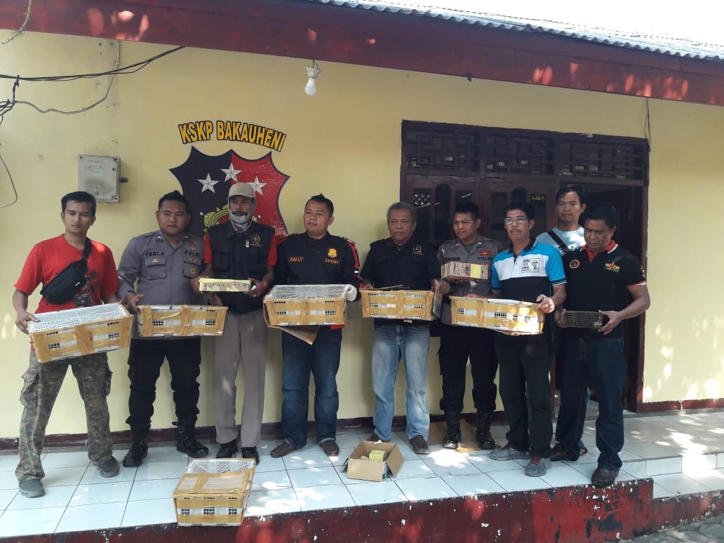 Ratusan Ekor  Burung Kicau Tanpa Kelengkapan Dokumen Diamankan KSKP Bakauheni Lampung