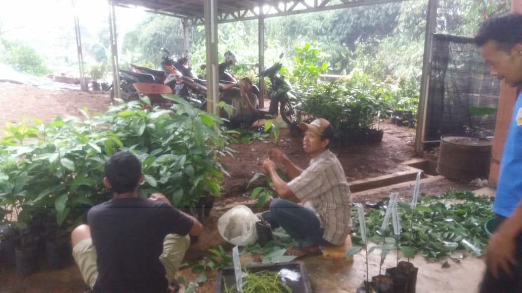Perjuangan Poktan Tunas Hijau Sukahati Wujudkan Alpukat Misra Menjadi Ikonnya