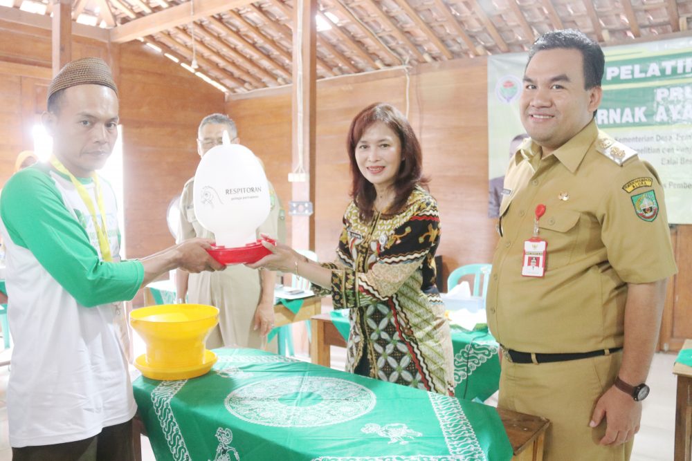BBLM Yogyakarta Gelar Pelatihan Ternak Ayam Joper Di Blora