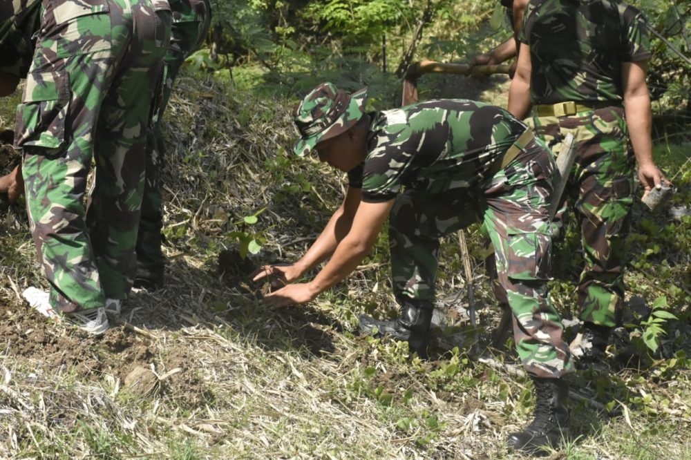 Lestarikan Alam Gunung Kendil, Korem 081/DSJ Tanam Ratusan Pohon Sengon