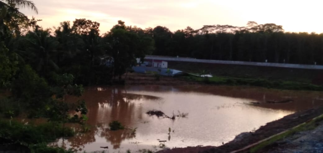 Akibat Gorong-gorong Tertimbun, Persawahan Milik Warga Terendam 1 Meter