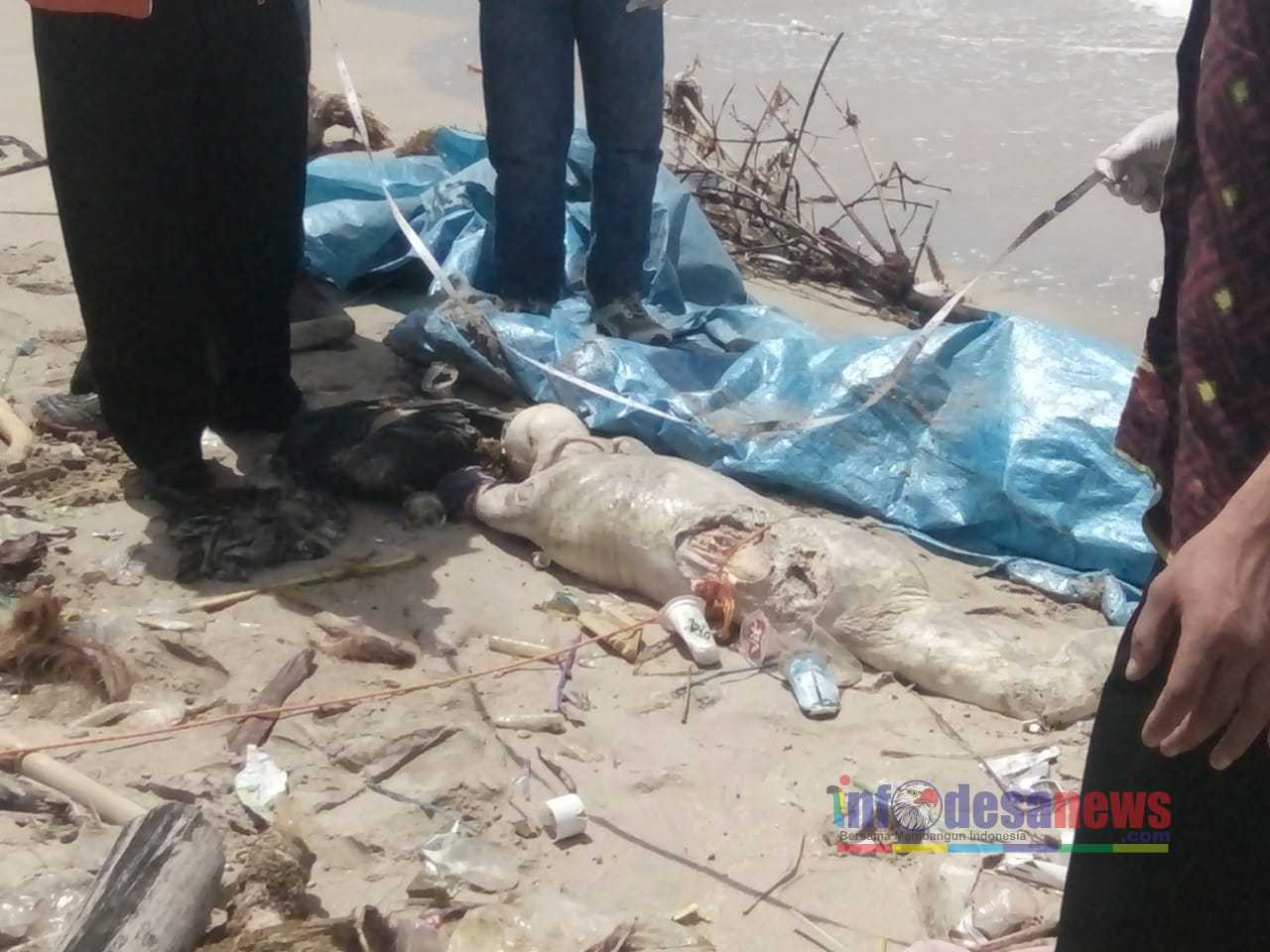 Lagi Lagi Mayat Tanpa Identitas Ditemukan Di Tepi Pantai