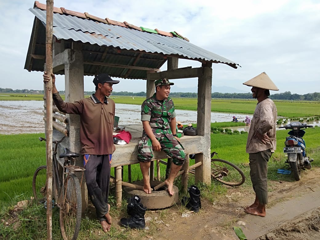 Babinsa Koramil Kayen Buka Ruang Komunikasi dtengah Sawah