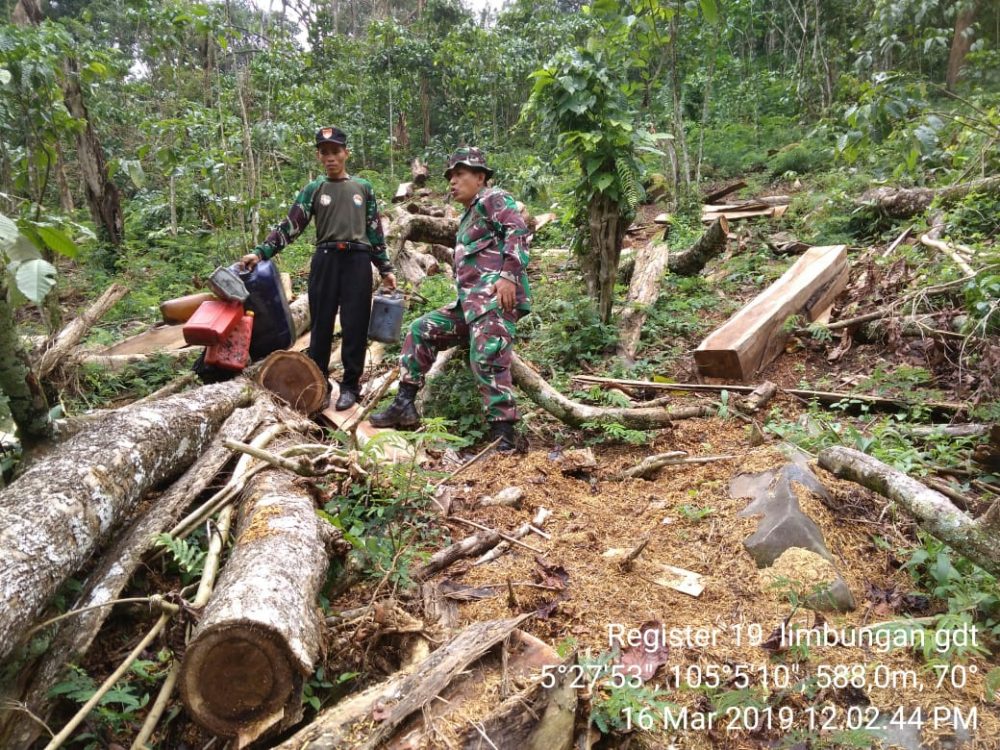 Kodim 0421/LS Bersama Polhut Propinsi Lakukan Patroli Hutan Kawasan
