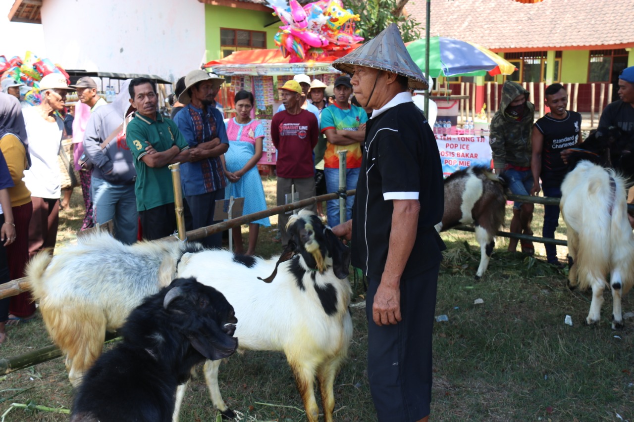 Meriah, Pemkab Blora Gelar Kontes Ternak Sapi Dan Kambing 2019
