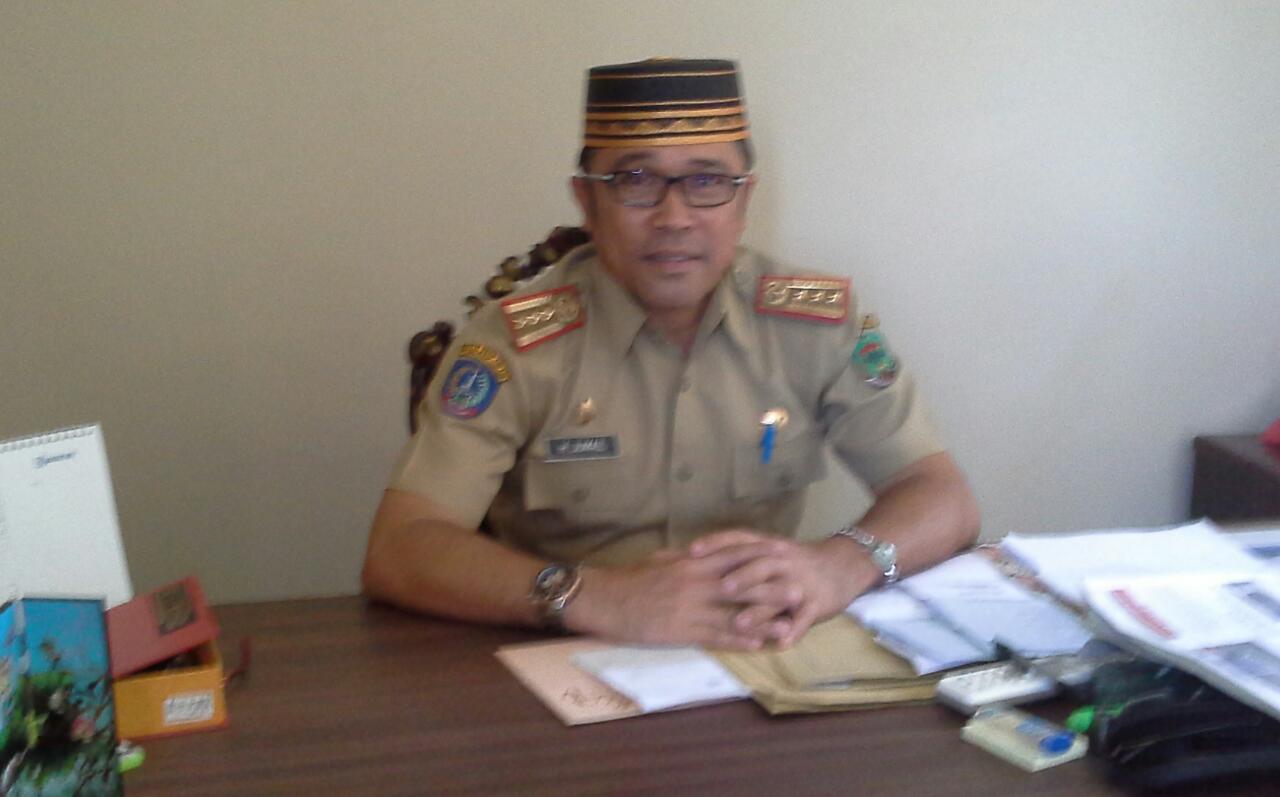 Kadis Dispora Lutra, Pemuda Berperan Dalam Pembangunan
