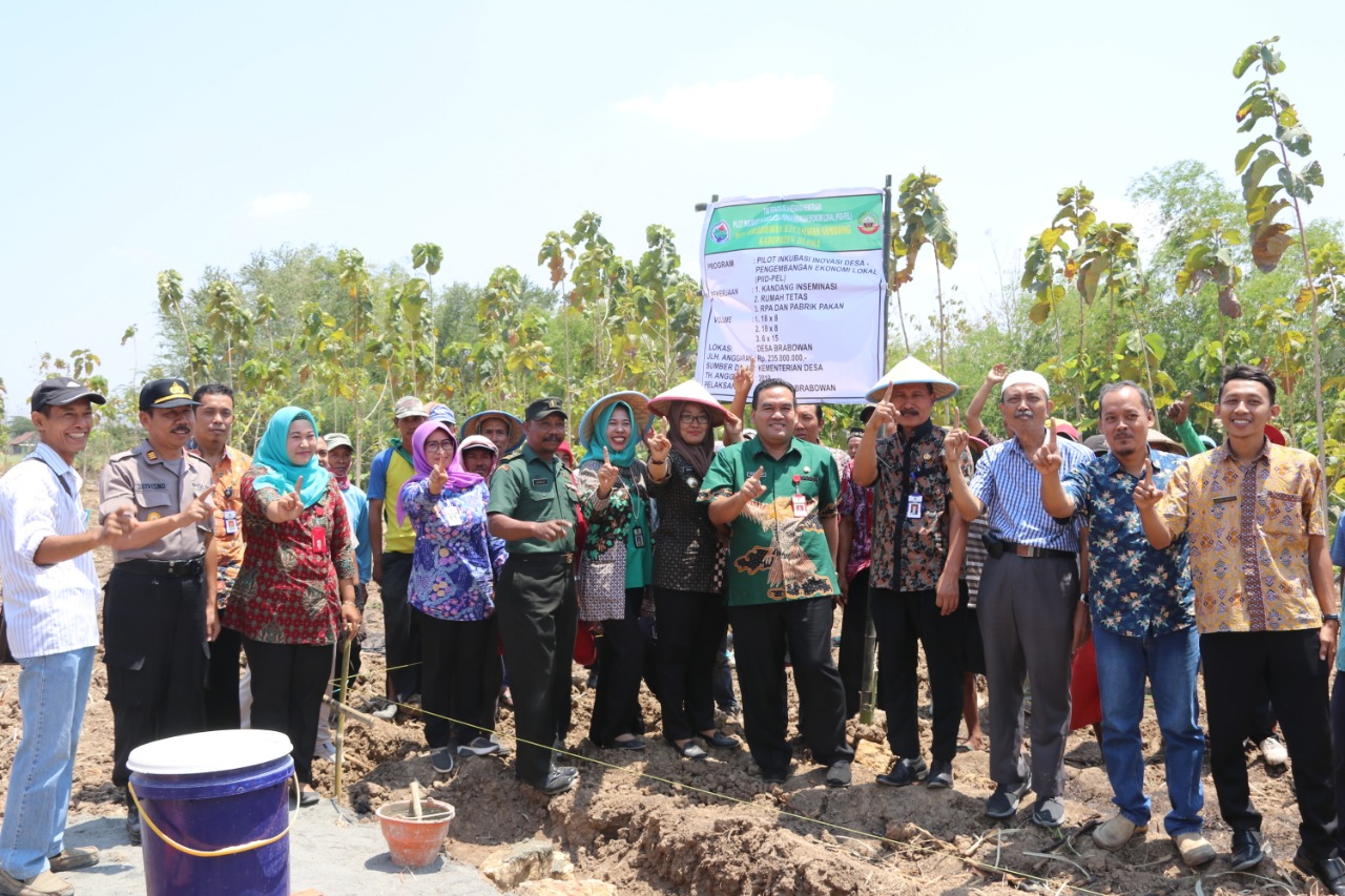 Kemendesa Pdtt Bantu Pembangunan Sarpras Agribisnis Ayam Joper Desa Brabowan