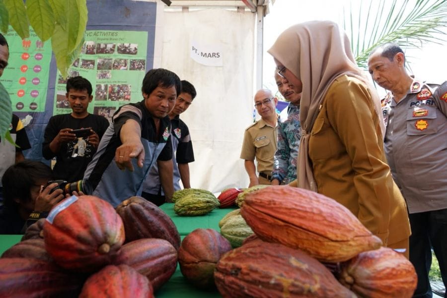 Akhirnya Terpilih 3 Besar Finalis Duta Pangan Sagu Bumi Lamaranginang di HPS, Ini Komentar Bupati