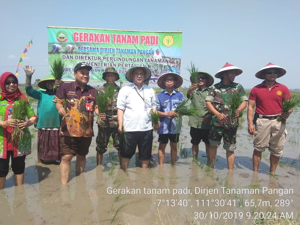 Danramil Kedungtuban melaksanakan Gerakan Tanam Padi Bersama Dirjen Pertanian