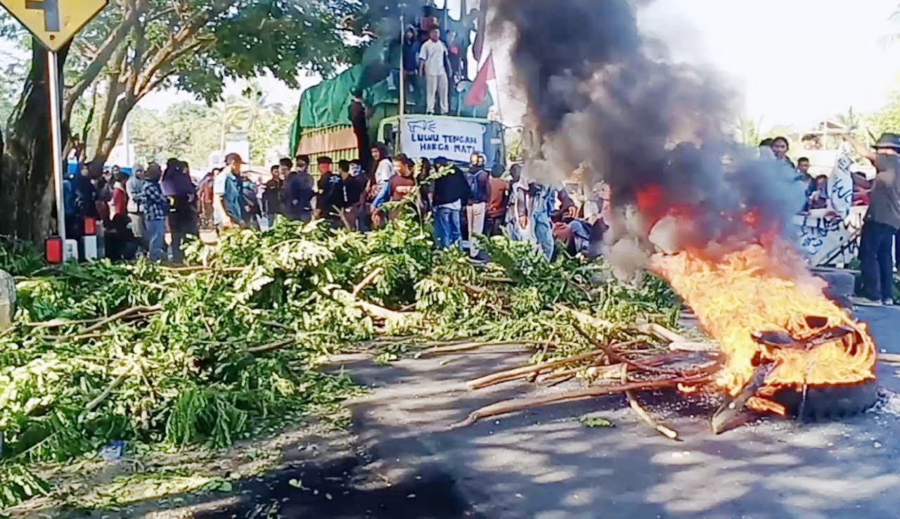 Demo Blokade Jalan Sampai Malam Tuntut Pemerintah Pusat Mencabut Moratorium DOB