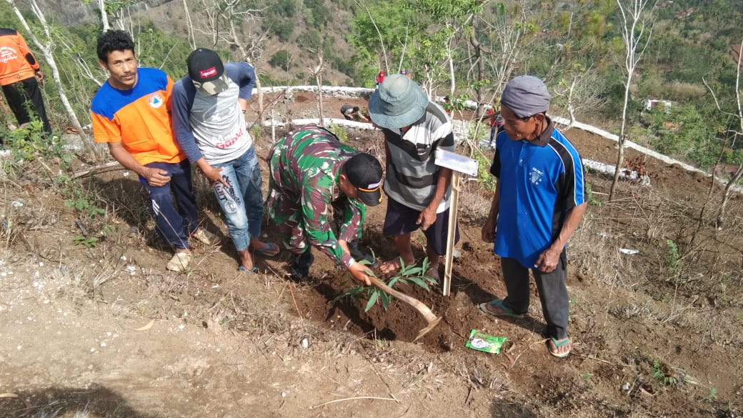 Lindungi Hutan Dan Mencegah Bencal Longsor, Koramil Kismantoro Prakarsai Penghijauan