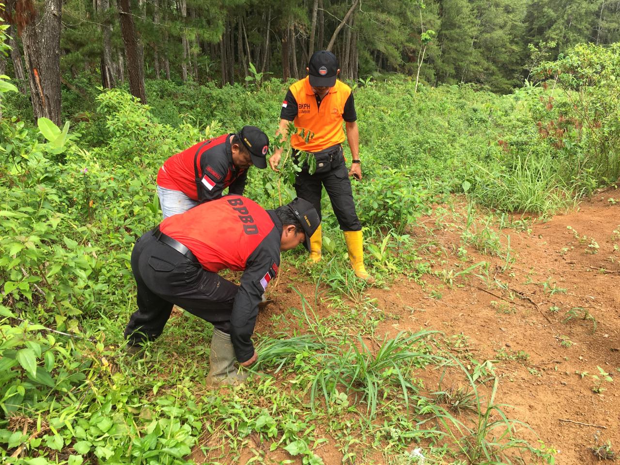 Pramuli Banyumas Prakarsai Penanaman 2000 Pohon di Hutan Kaliung