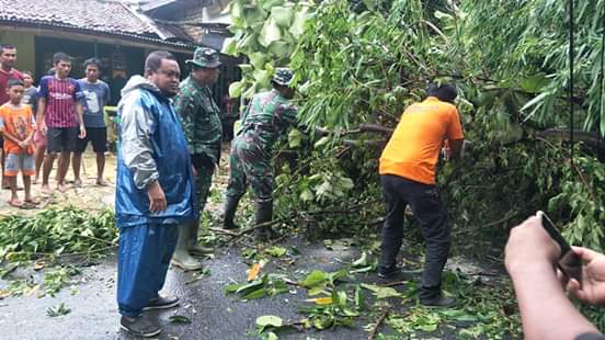 Hujan Deras Disertai Angin Kencang Tumbangkan Pohon dan Rusak Rumah Warga
