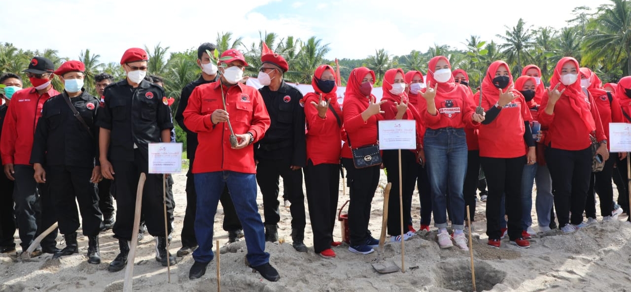 DPC PDI Perjuangan Lamsel Tanam Mangrove di Pantai Minang Rua