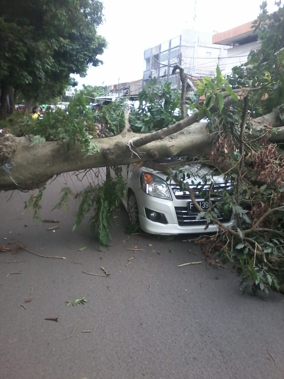 Satu Unit Mobil Hancur Tertimpa Pohon Tumbang di MA Salmun