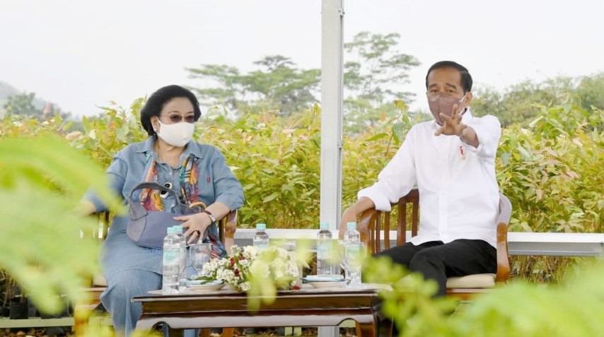 Presiden: Rehabilitasi Lahan Kritis Dimulai dari Pembangunan Persemaian