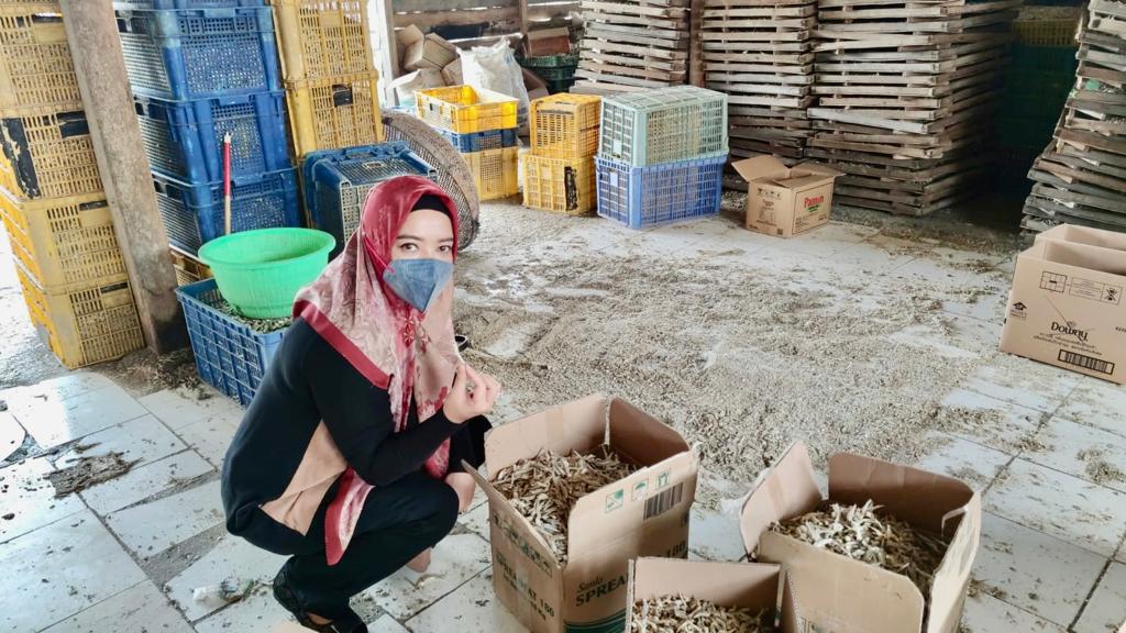 Dewi Aryani Blusukan Tinjau Pabrik Pengolahan Ikan Teri di Pantura