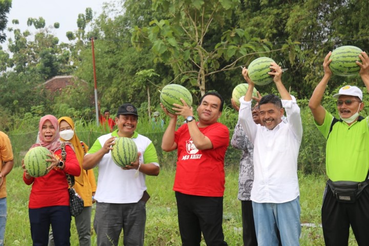 Keseruan Petik Buah, Dalam Louncing Agrowisata Desa Bangsri Blora
