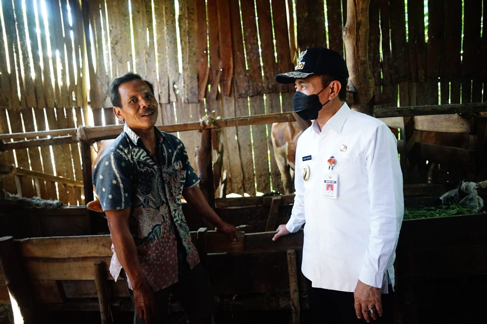 Bupati Kembali Tinjau Suntik Vaksin PMK