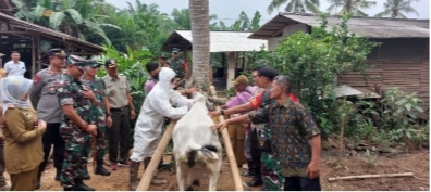 Jelang Hari Raya Idul Adha Tim Satgas Pengendalian PMK Pemkab Lamsel Gencar Lakukan Vaksinasi