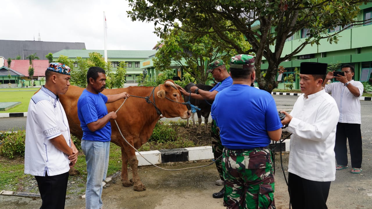 Korem 091/ASN Sembelih Sebanyak 17 Ekor Hewan Kurban, Idhul Adha 1443 H