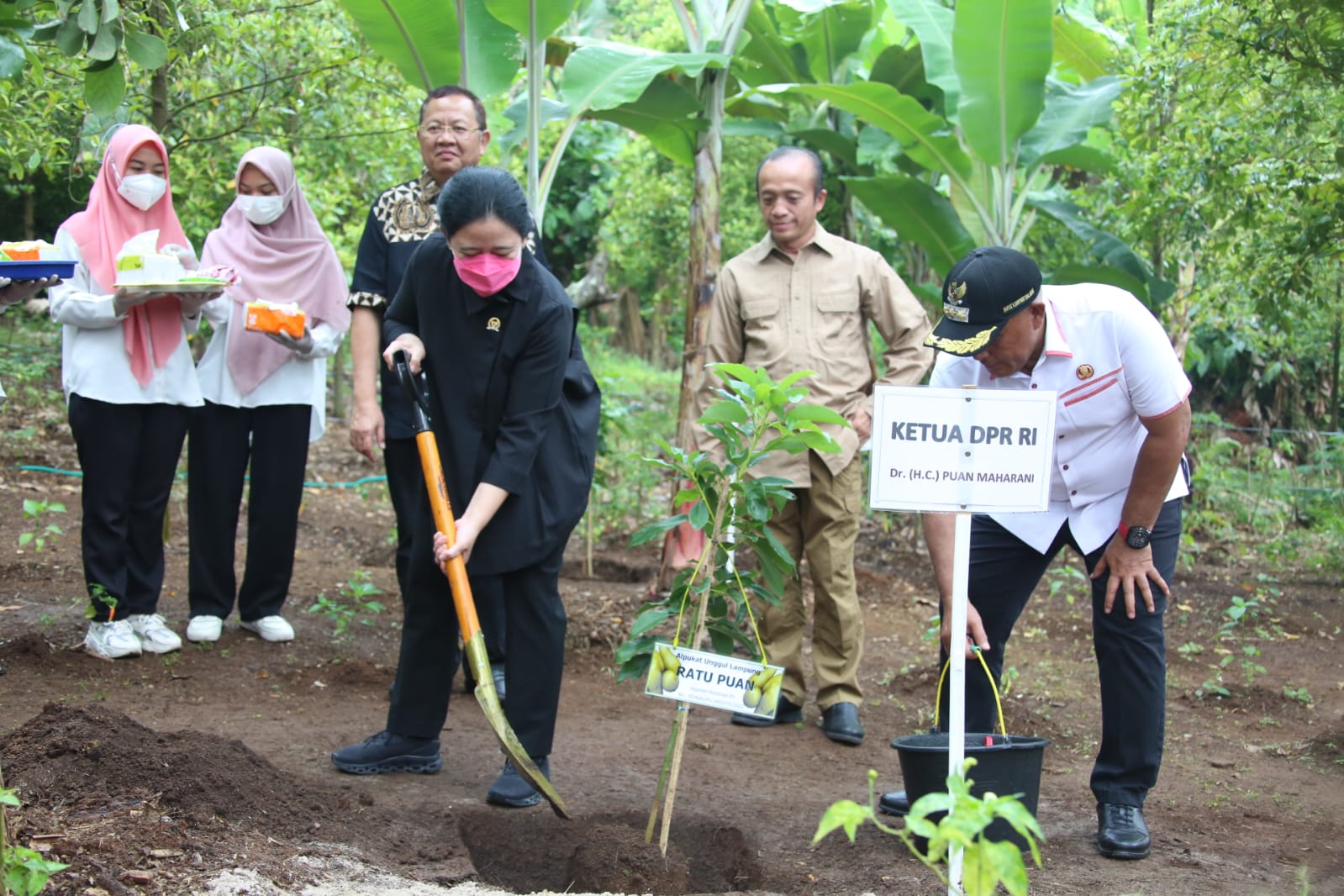 Ketua DPR-RI Puan Maharani Kunjungi Lampung Selatan Lakukan Penanam Pohon Alpukat