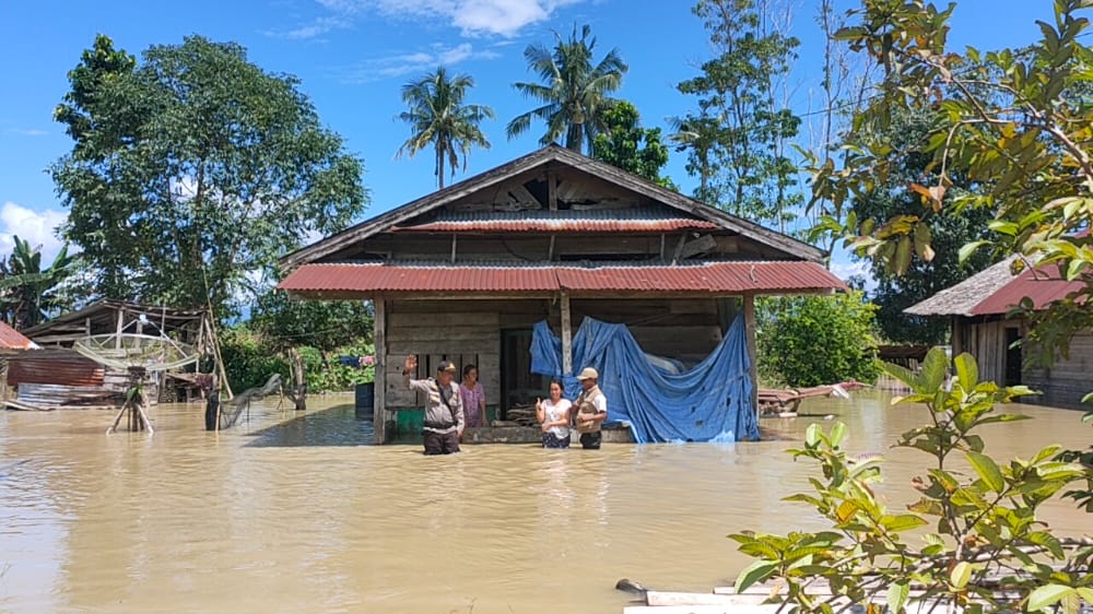 Dampak Banjir Sungai Rongkong di Malangke Barat, 1015 KK Tergenang Air di 4 Desa