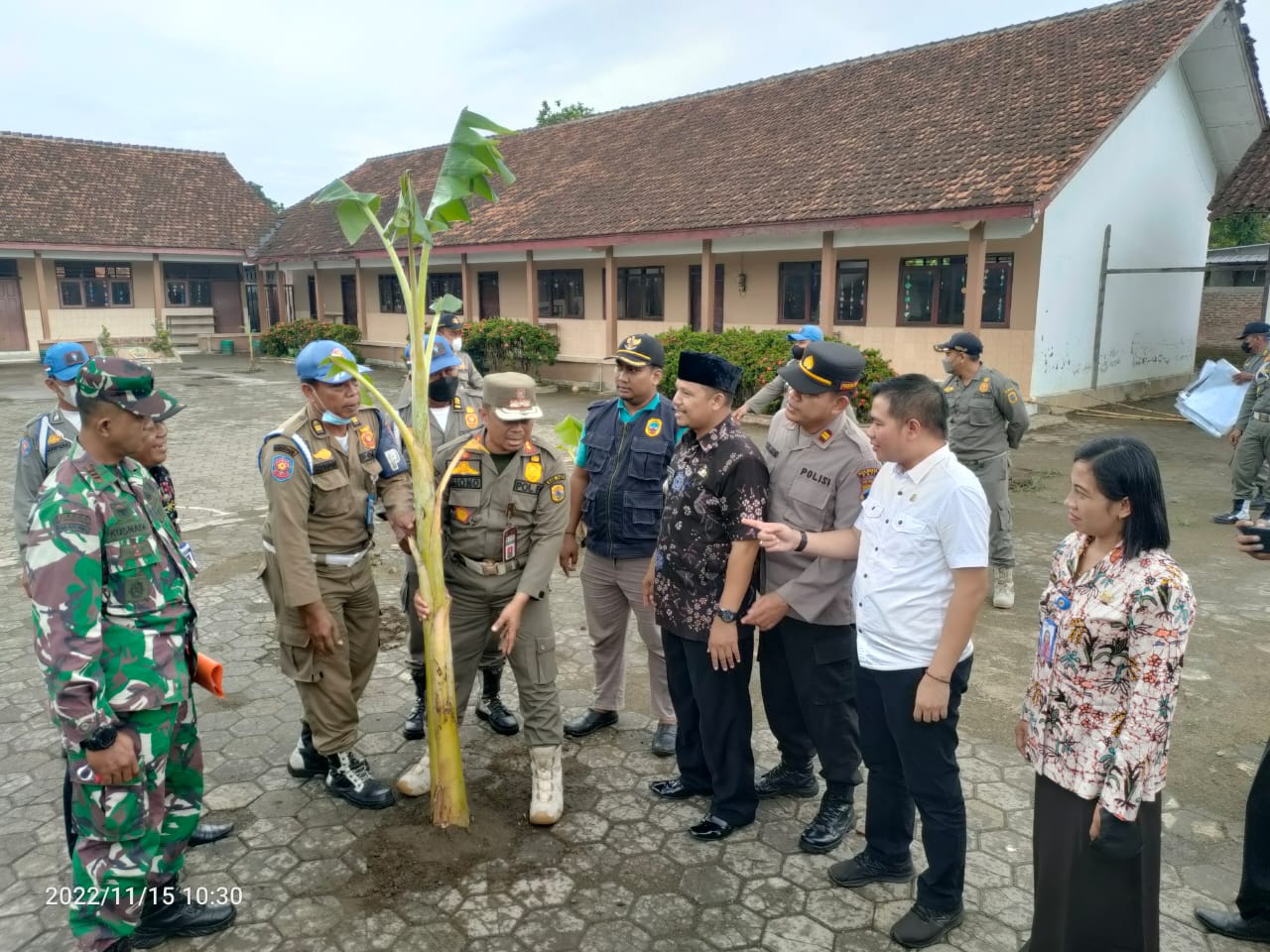 Segel Dibuka !!! Belum Panen Pisang Kok Udah Dijabut, Ini kata Kasatpol PP Pati