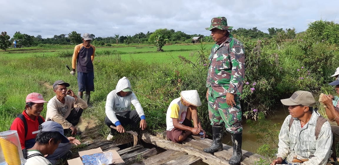 Melalui Gotong Royong, Babinsa Harapkan Petani Jaga Kekompakan