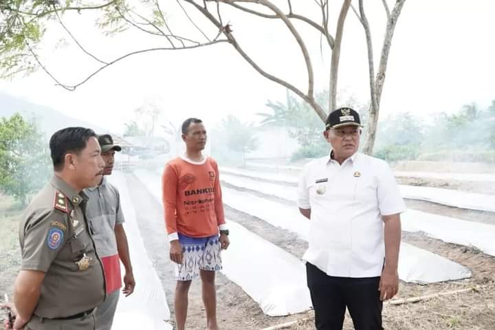Program Petani Milenial Tunjukkan Kesiapan Tanam