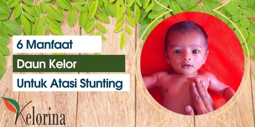 Manfaat Daun Kelor Untuk Atasi Stunting Pada Anak
