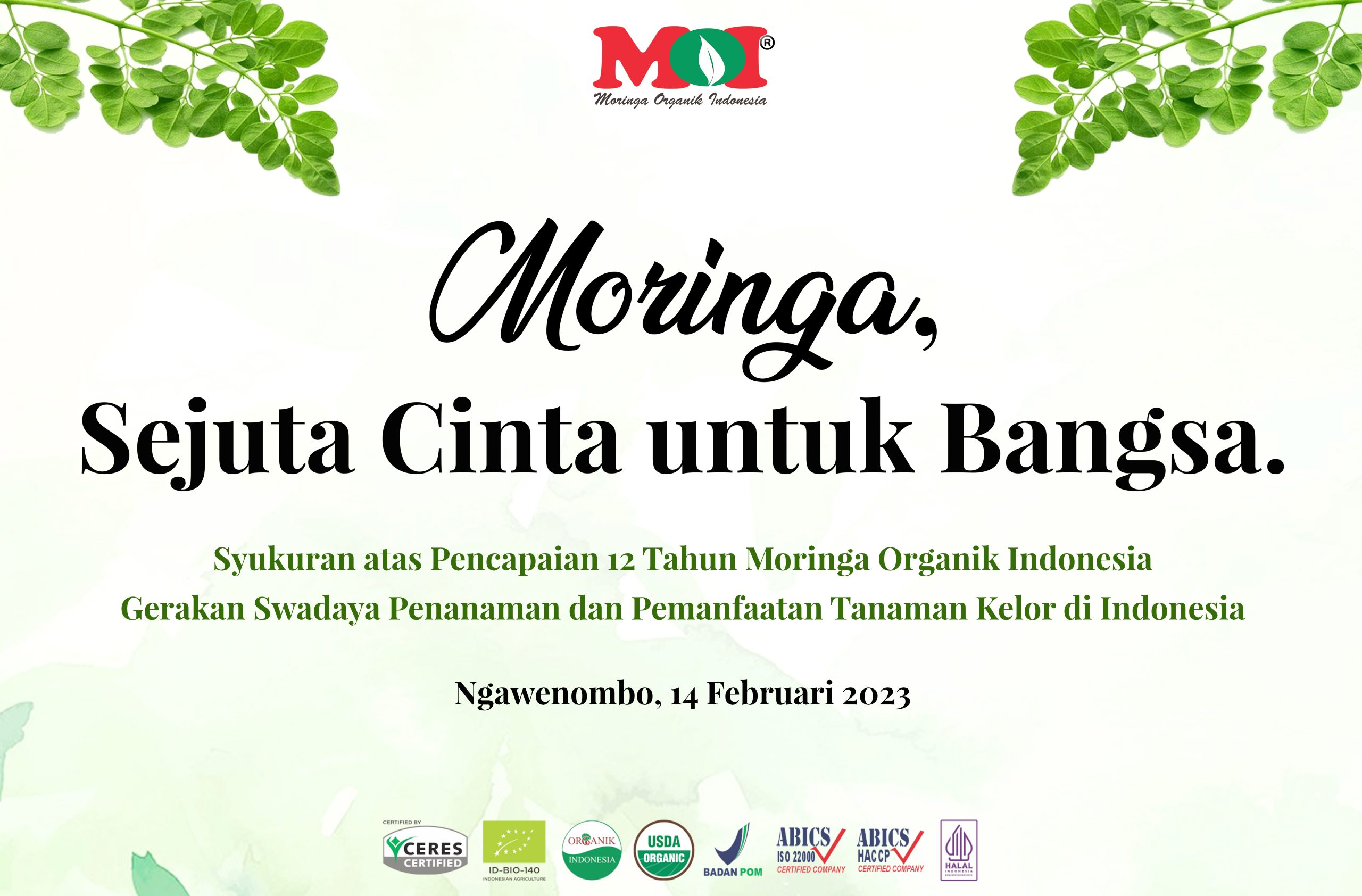 Inilah Pencapaian 12 tahun Moringa Organik Indonesia