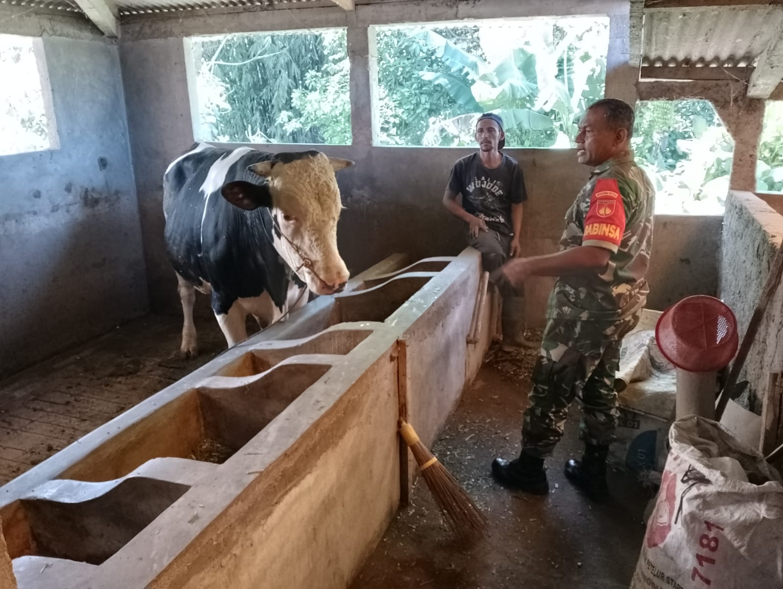 Datangi Kandang Sapi, Babinsa Beri Motivasi