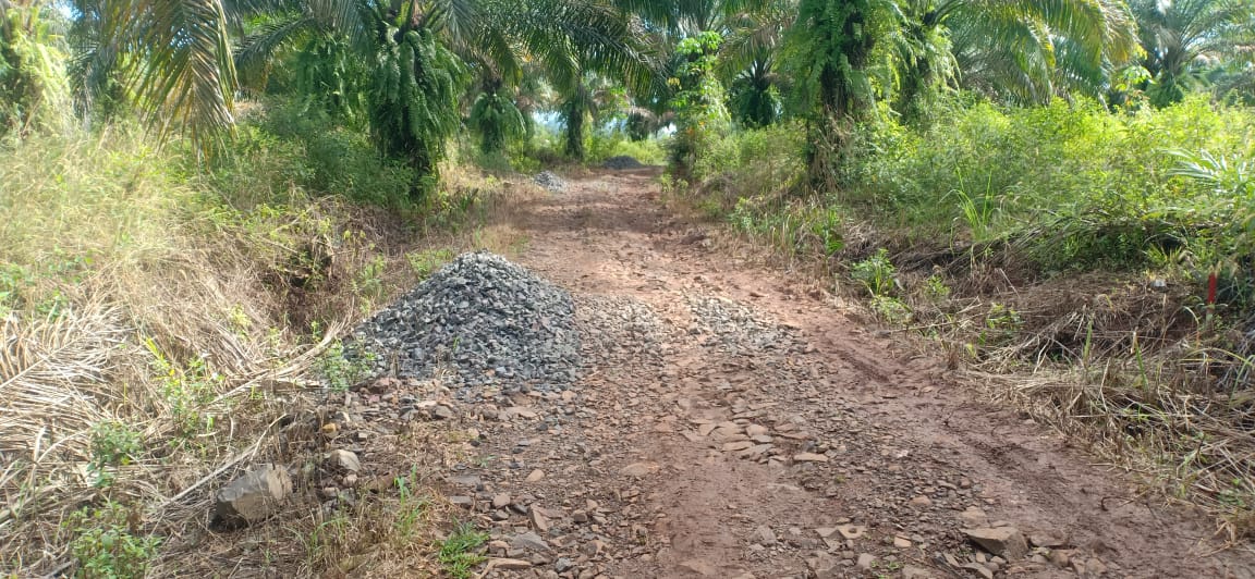 Diduga Program Bantuan Desa Galih Rejo, Digunakan Untuk Pencalonan Kades
