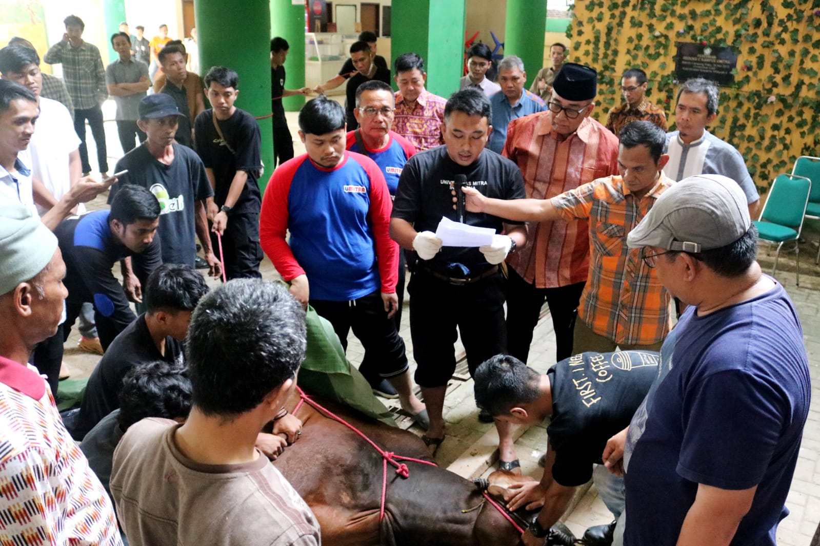 Kampus Umitra Lakukan Pemotongan Hewan Kurban