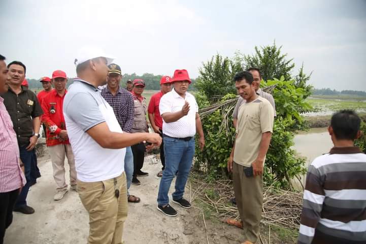 Ini Kata Bupati Nanang Ermanto Saat Tinjau Kondisi Gorong-Gorong Amblas