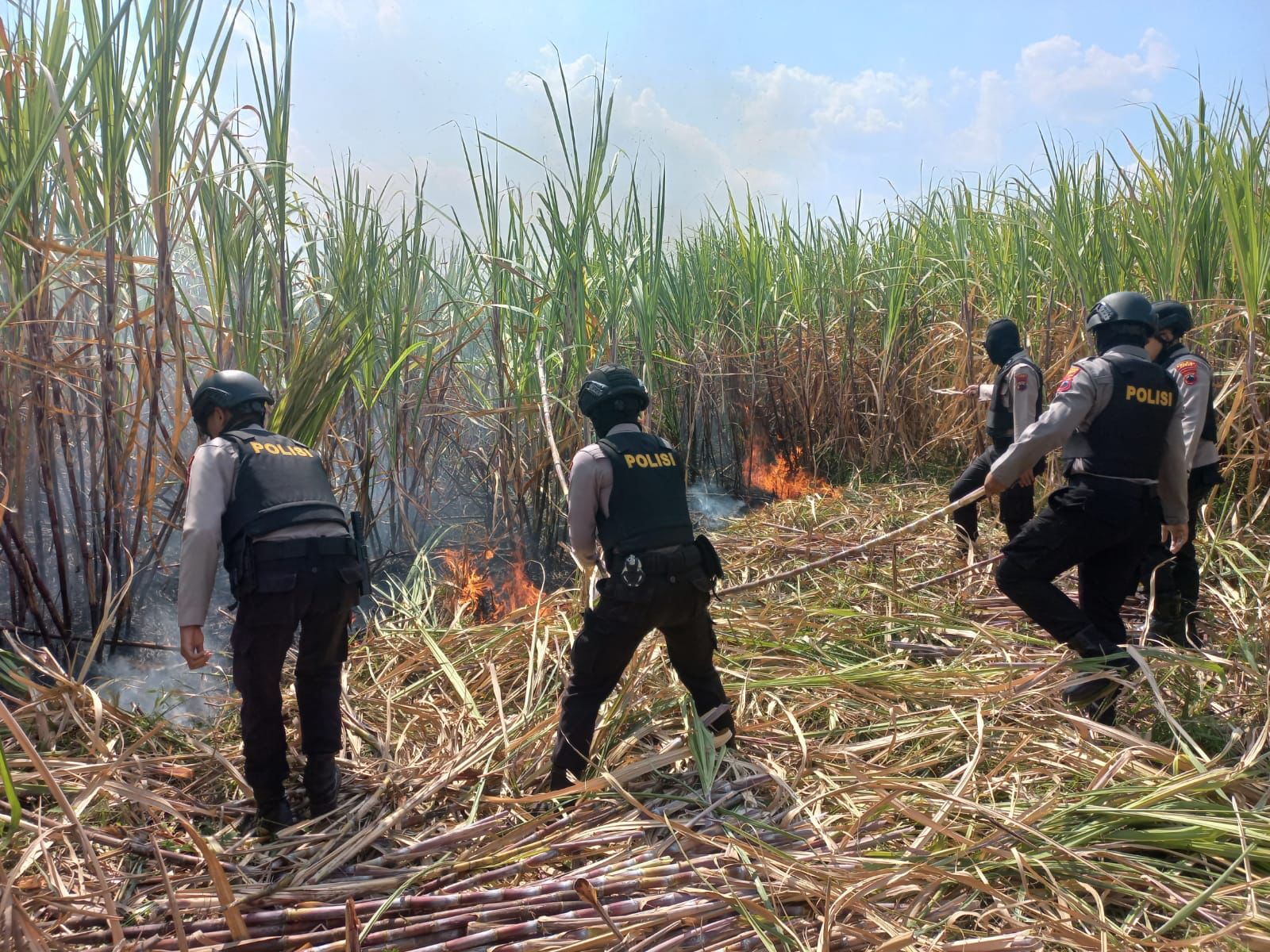 Laporan Masyarakat, Personil Polres Kudus Turun Padamkan Api di Lahan Tebu