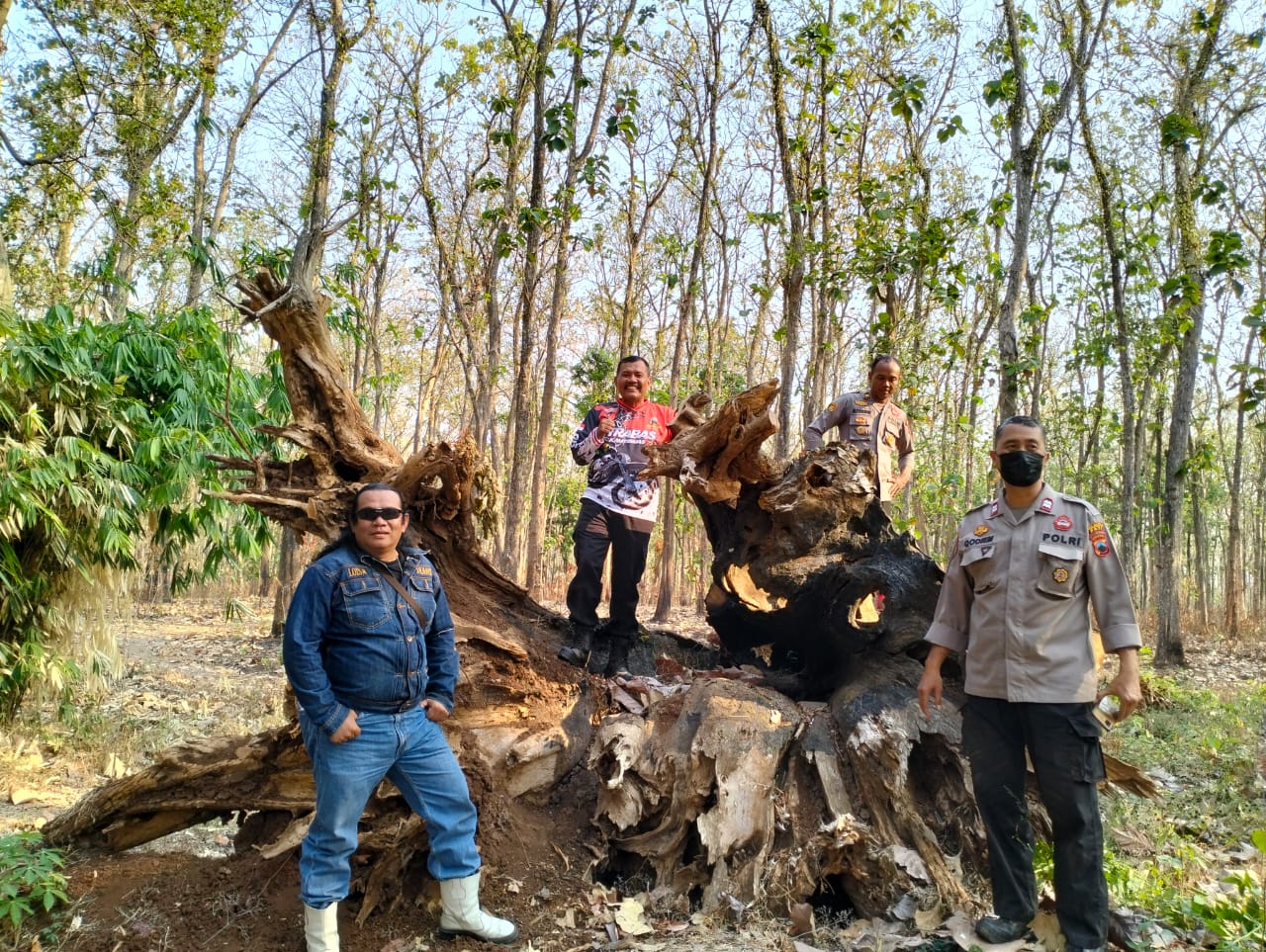 Kawasan Hutan Di Cek Patroli Gabungan, Begini Himbuan Penting ke Masyarakat