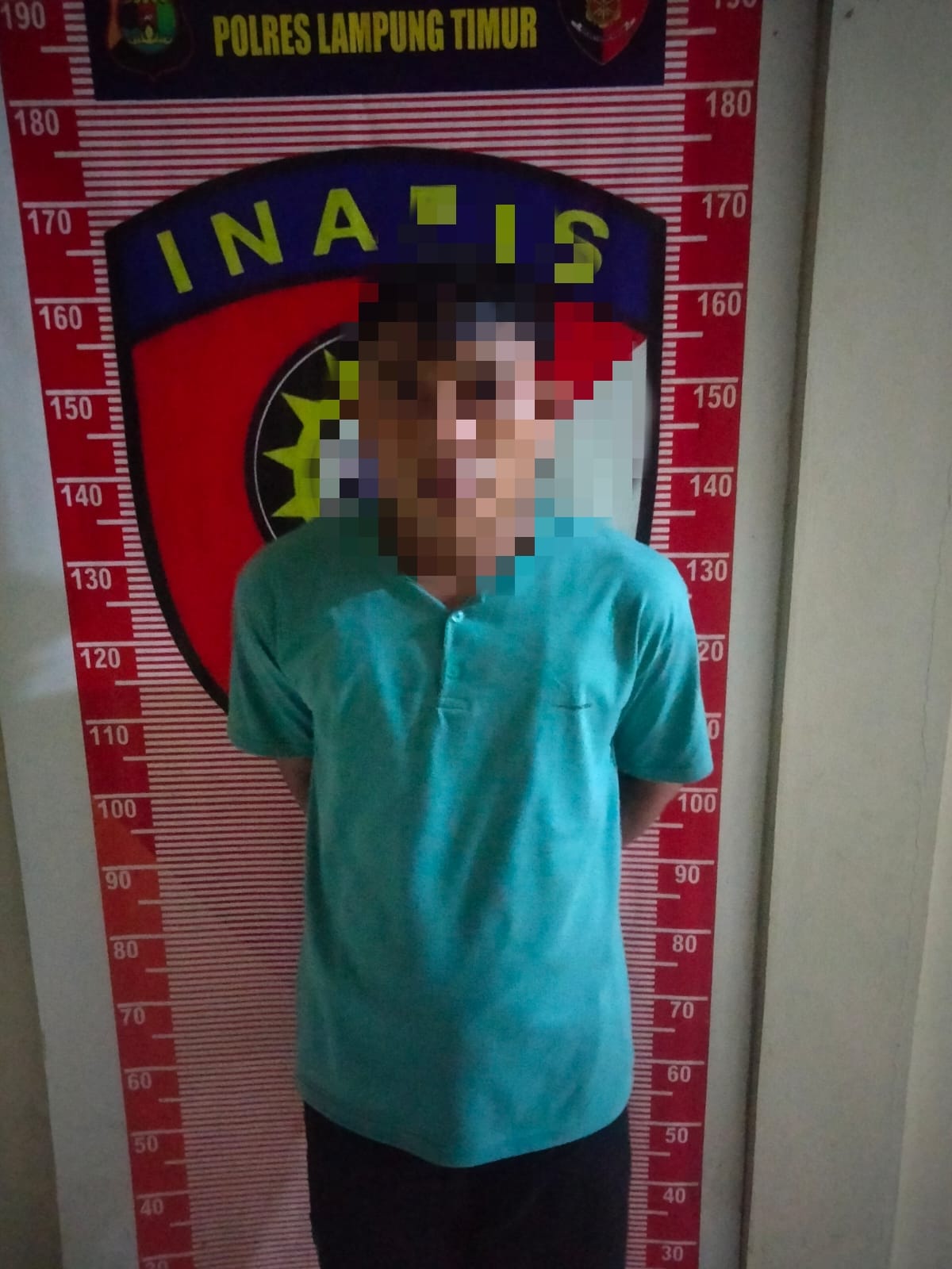 Curi Buah Nanas Seorang Satpam di Amankan Polisi